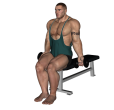 Zottman Curl - Seated Dumbbell Reverse Narrow